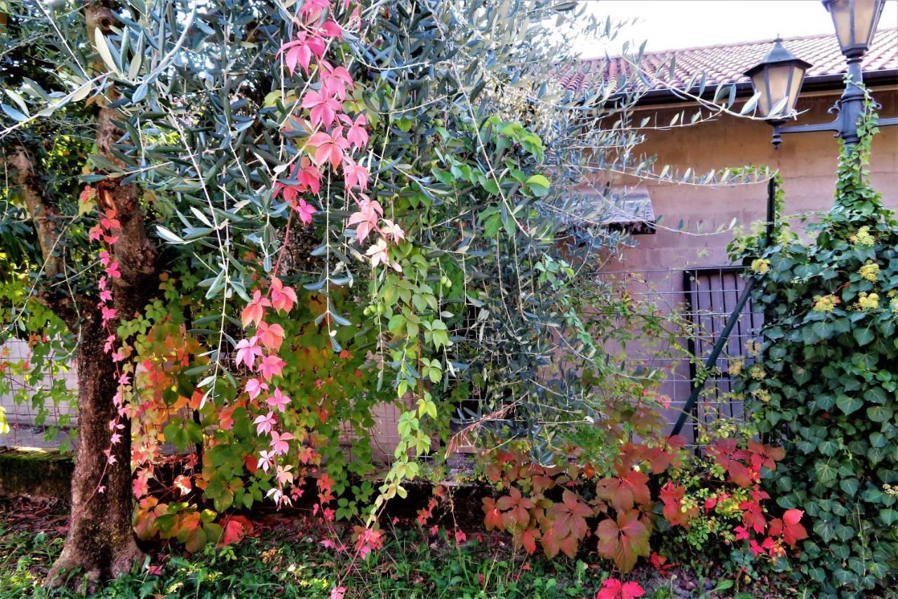 Locanda Alla Posta Borso del Grappa Ngoại thất bức ảnh